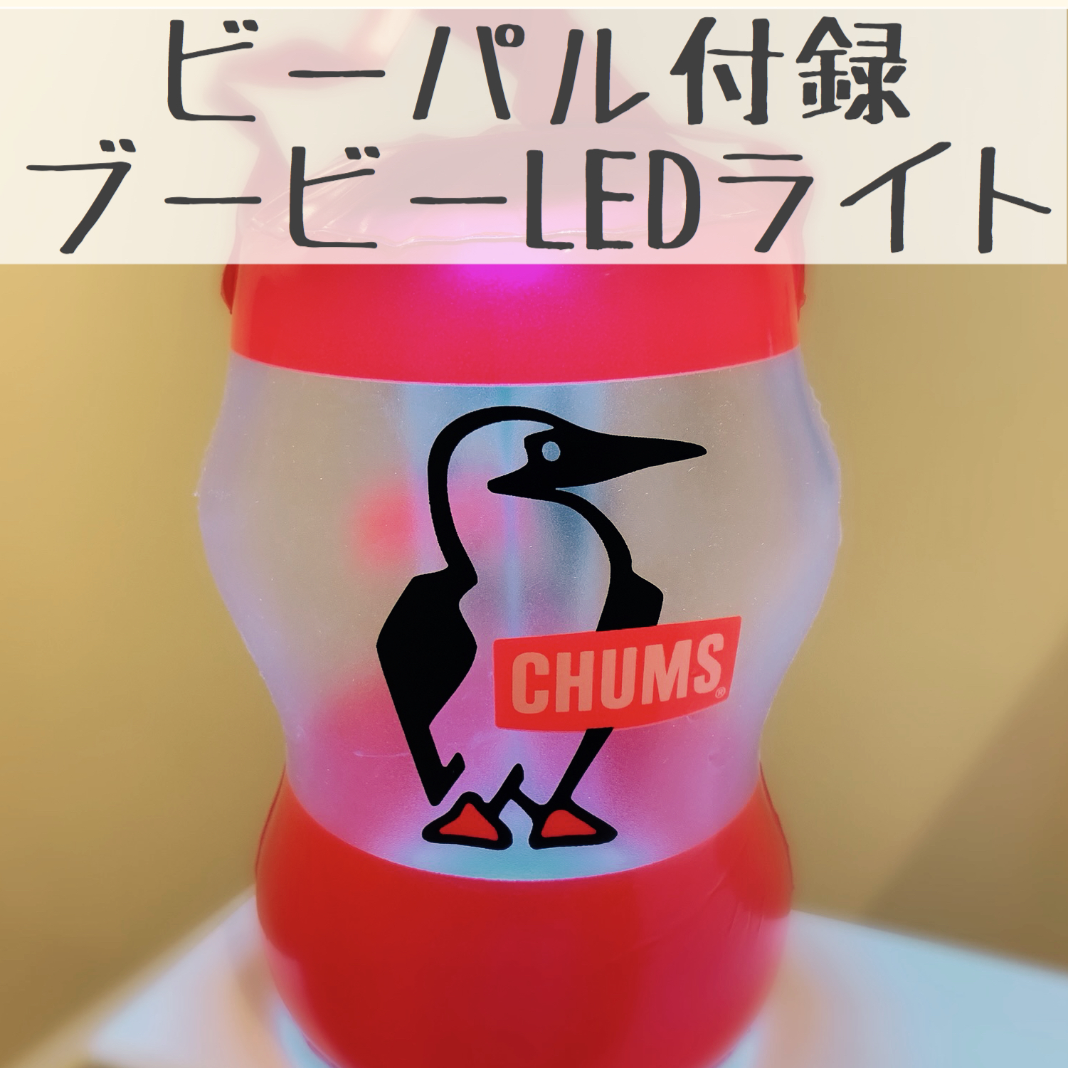 今季ブランド 2つセット CHUMS × BE-PAL LEDクリップライト hideout.lk